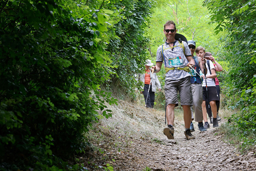 Rando dans la foret