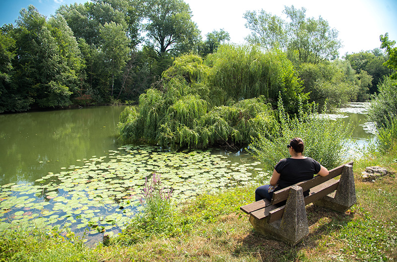 Les bords d'Ognon à Palise