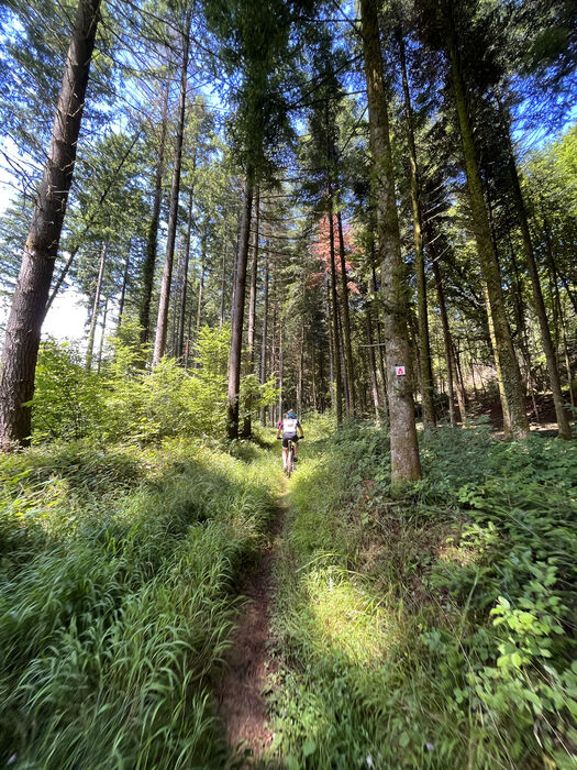 2022_06_25_GHN-VTT©CLEMENT BARRE (51)