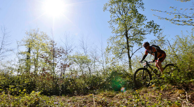 VTTiste roulant sur un sentier forestier