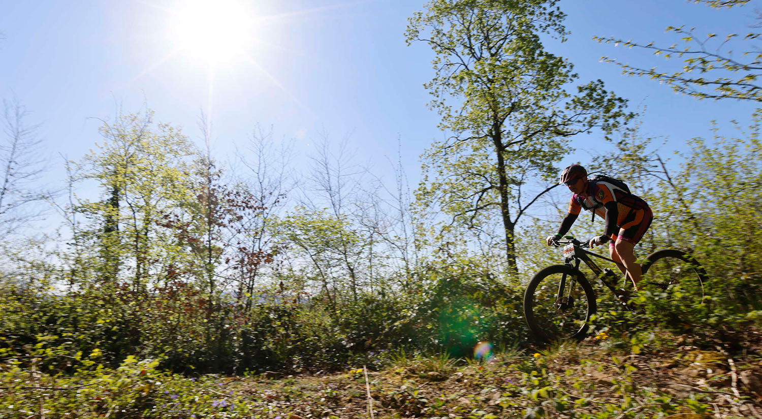 Vtt en forêt
